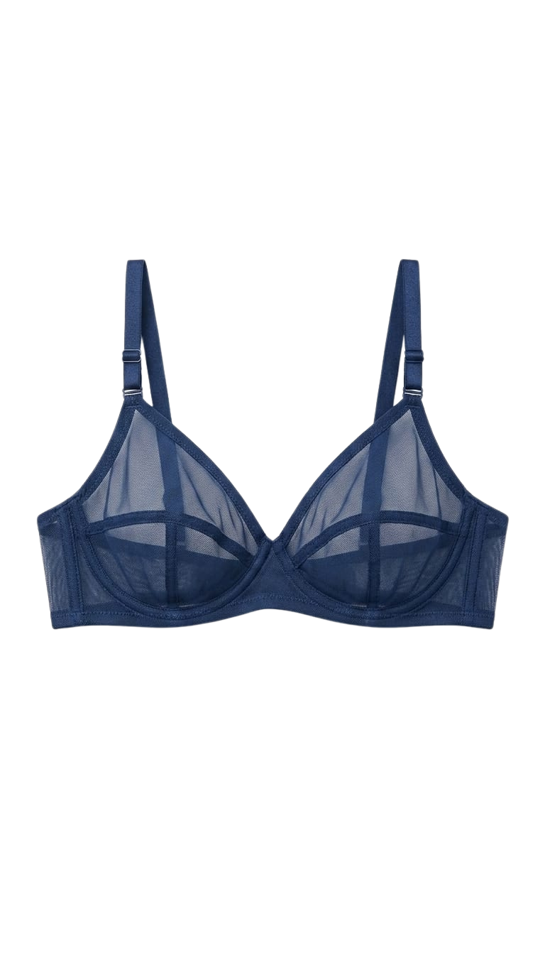 Sheer Net Bra